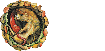 Country Colour Logo